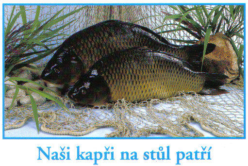 kapři